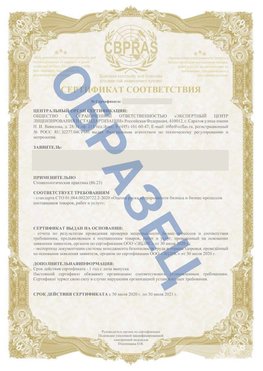 Образец Сертификат СТО 01.064.00220722.2-2020 Красноармейск Сертификат СТО 01.064.00220722.2-2020 